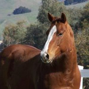 ginascarbrough avatar