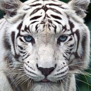 stephaniesmith_1 avatar