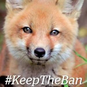 roman_werpachowski avatar