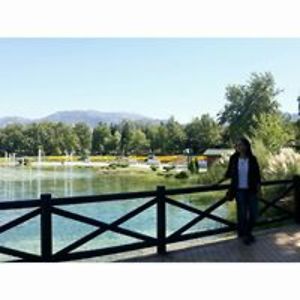 ulduz_musayeva1 avatar