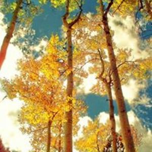 carolynmurphy14 avatar