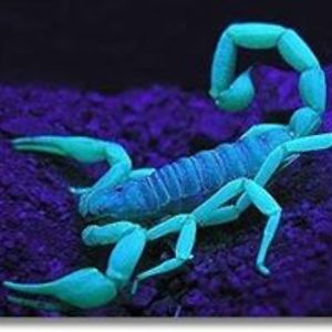 roxannethewitch1 avatar