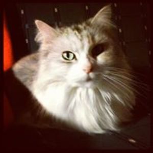 laurasfacebookemailaddress avatar