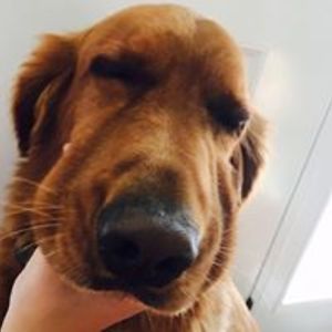 sumandeeptkaur avatar