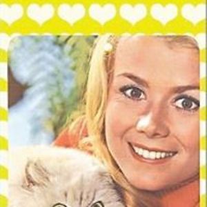 laurel_notley avatar