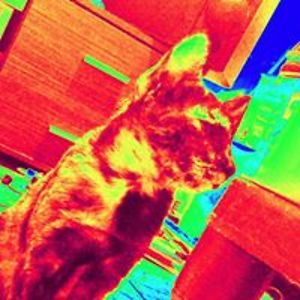 paulinejadejohnsonmamacang avatar