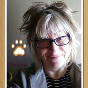 steffiesdogwash avatar