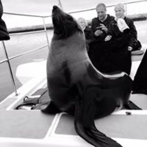 popeyewideshut1 avatar