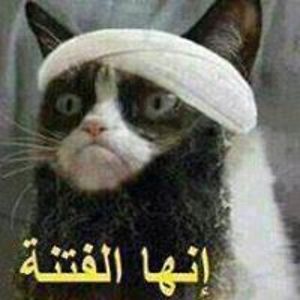 aalech_tahlef avatar