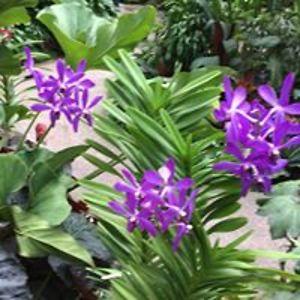 claudette_clark avatar