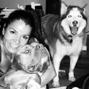 laparrandanyc avatar