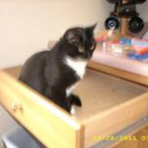 kathymccall09 avatar