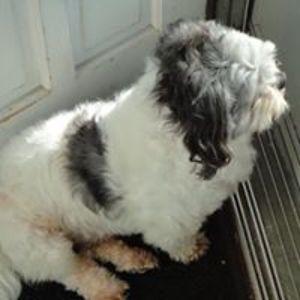 mariacampsall10 avatar