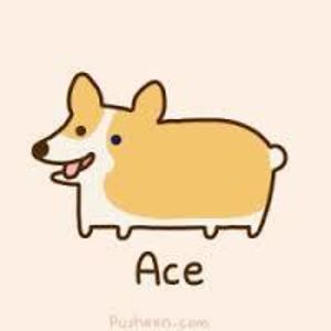 kawai-unicorn avatar