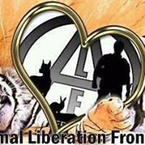 sandiestone2000 avatar