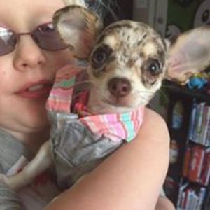 jennifernormile avatar