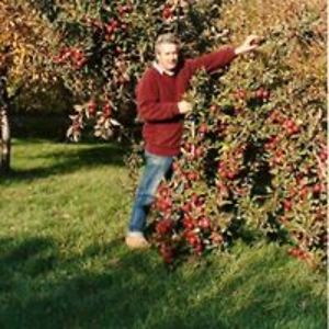 geri_661river avatar