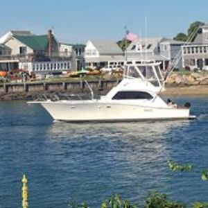 andrew_johnson avatar