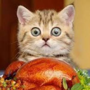 gammons_maria avatar