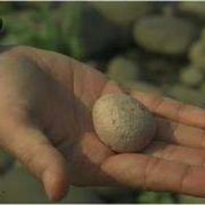 1thess5161718 avatar