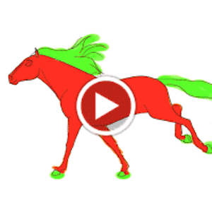 tigerlilypeterson_1 avatar