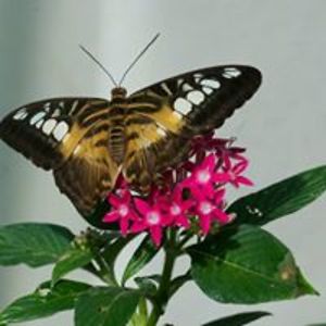 linda_munson0921 avatar