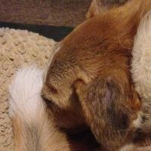 rhiannaalynch avatar