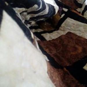 shelley_kidby avatar