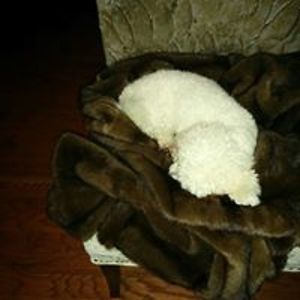 cgrahamstuart avatar