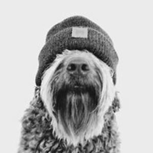 normanboydston avatar