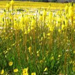 tracymcgregor9 avatar