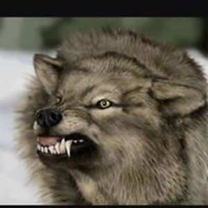 katherine_burroughs avatar