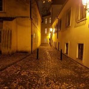 erikahimmelberger avatar