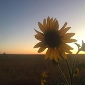 chynnainwonderland avatar