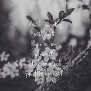 daneeleigh1221 avatar