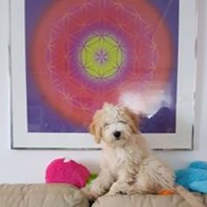 claire_greenhill avatar