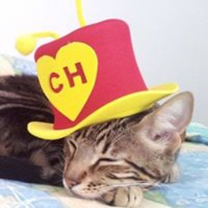 alexandramajluf avatar