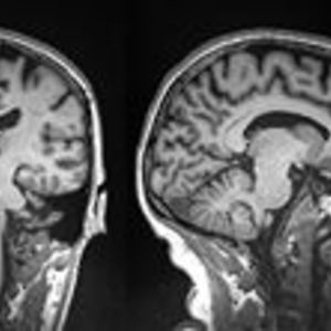 bryanabeecham avatar