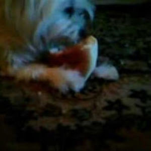 roxanajugravu_1 avatar