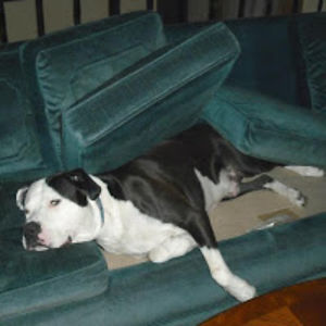 lydiamcgregor avatar