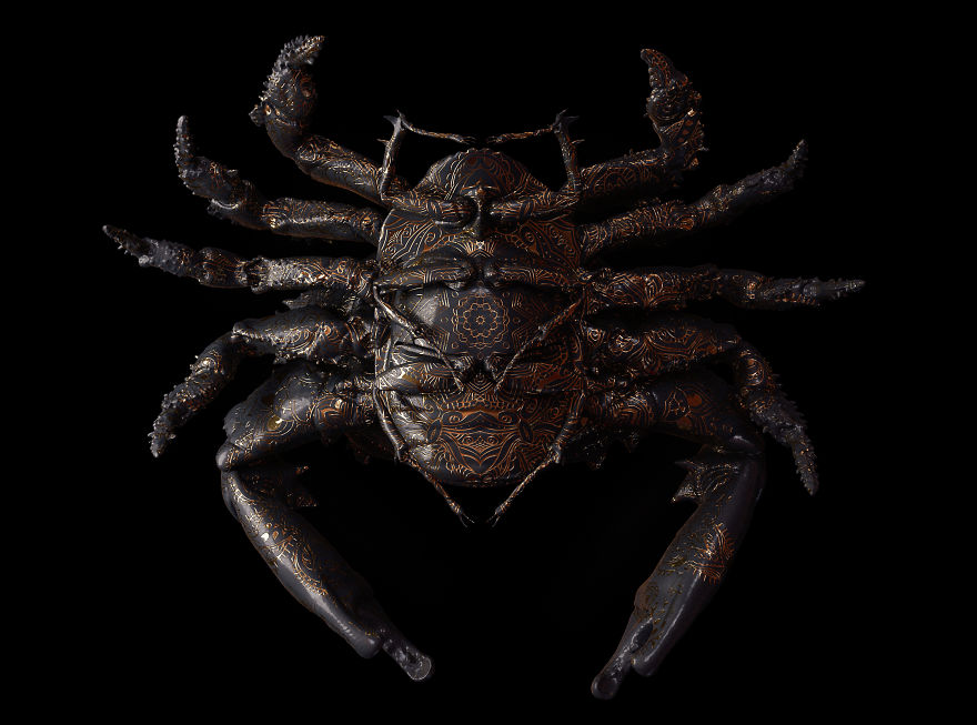 Engraved Entomology By Billelis