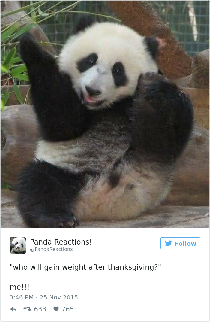 Funny Thanksgiving Tweets