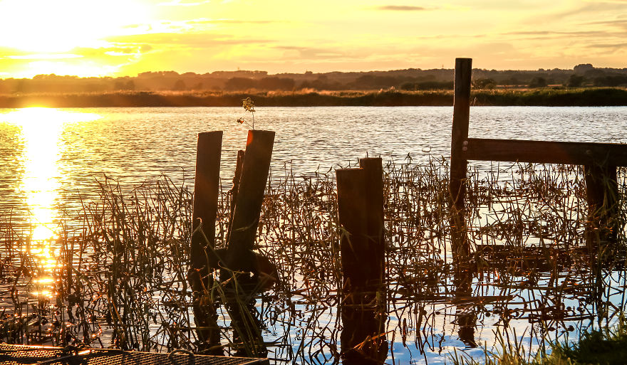 If You Never Visit The "Teufelsmoor" In Northern Germany, Take A Look At A Few Shots From There