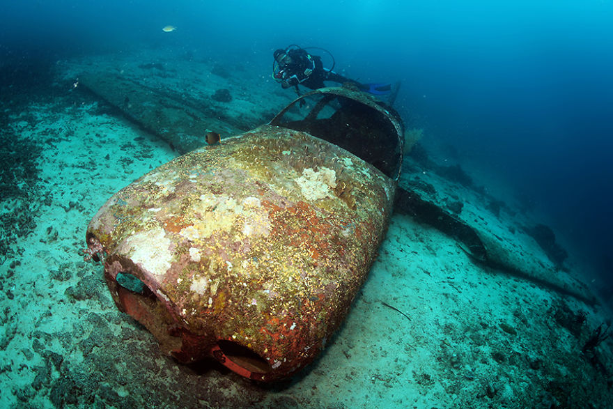7 Years Ago, I Quit My Job And Shot Fish Full Time, Here Are 7 Of My Favorite Fish Pics