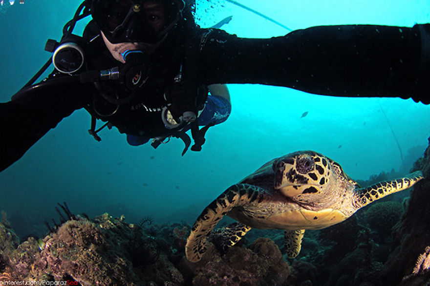7 Years Ago, I Quit My Job And Shot Fish Full Time, Here Are 7 Of My Favorite Fish Pics
