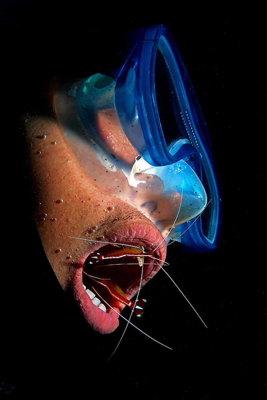 7 Years Ago, I Quit My Job And Shot Fish Full Time, Here Are 7 Of My Favorite Fish Pics