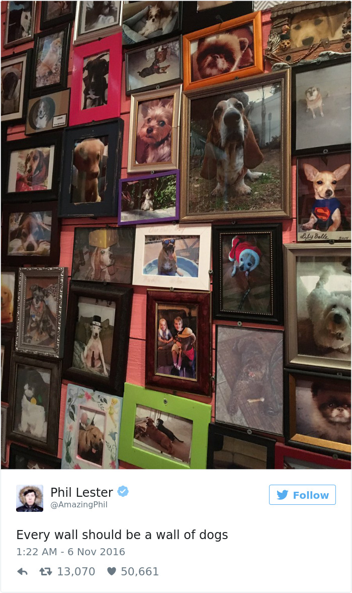 Dog Tweets