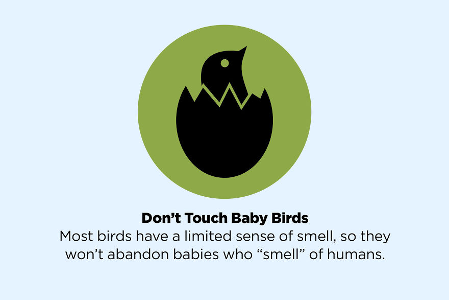 50 Facts That Are Not True