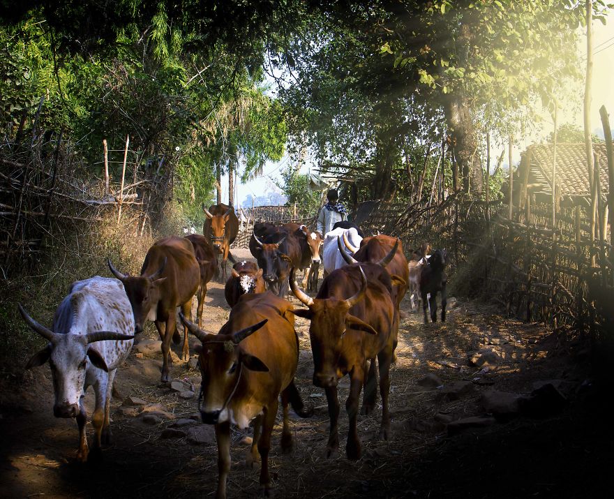 I Spent 2 Years Capturing The Hidden Beauty Of Indian Tribal Village