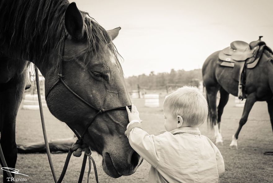 I Live With Horses And I Take Pictures Of Them